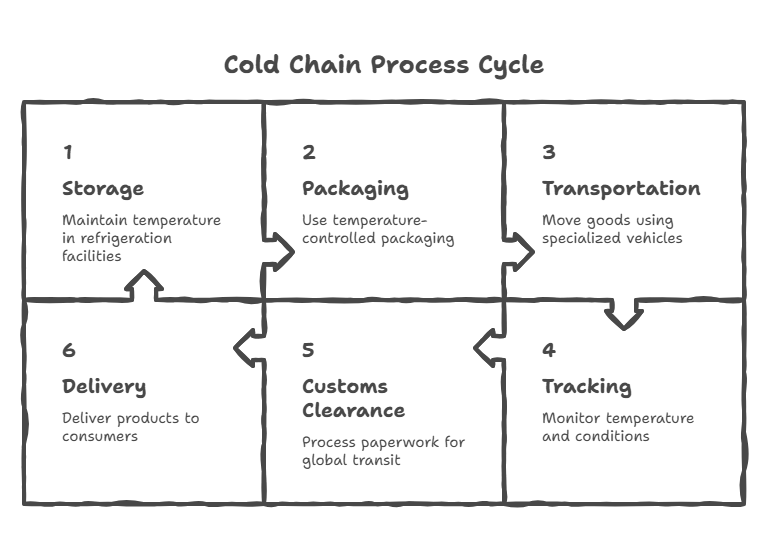 Cold Chain Process and Steps