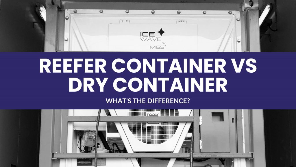 Reefer containers vs dry containers